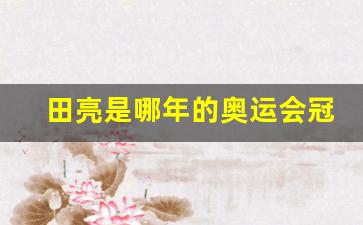 田亮是哪年的奥运会冠军-田亮参加的奥运会