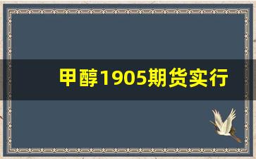 甲醇1905期货实行情(甲醇2109期货行情社区讨论群)_https://www.tuogunzhijia.com_原油期货_第1张