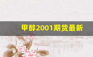 甲醇2001期货最新行情(甲醇期货2105最新行情新浪网)_https://www.huakunhengjia.com_期货资讯_第1张