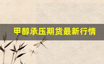 甲醇承压期货最新行情(甲醇期货最新行情分析)_https://www.erdeww.com_期货_第1张