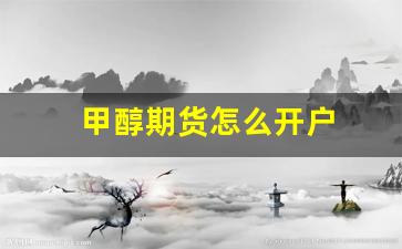甲醇期货怎么开户(甲醇期货吧东方财富股吧)_https://www.qldgs.com_期货_第1张