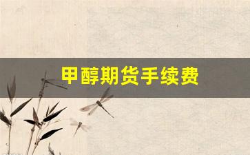 甲醇期货手续费(甲醇期货手续费计算)_https://www.xzdzcjn.com_创业板_第1张