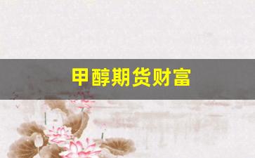 甲醇期货财富(甲醇期货财富论坛)_https://www.xzdzcjx.com_科创板_第1张