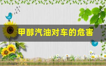 甲醇汽油对车的危害_甲醇汽油车用好吗