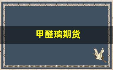 甲醛璃期货(甲醛主力期货行情最新)_https://www.fzdzcxj.com_科创板_第1张