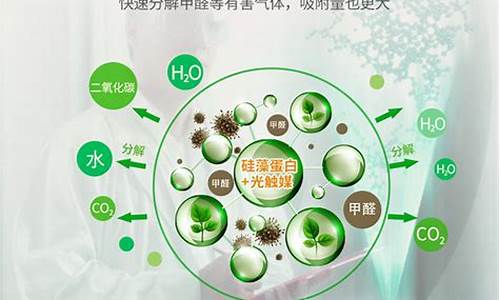 甲醛超标怎么处理_租房甲醛超标怎么处理