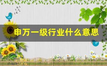 申万一级行业什么意思(申万1级行业)_https://www.dcjwmf.com_郑商所_第1张