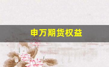 申万期货权益(申万期货)_https://www.wguangz.com_郑商所_第1张