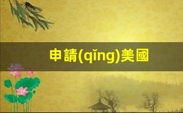 詳解美國簽證官網(wǎng)申請(qǐng)流程及必備材料清單