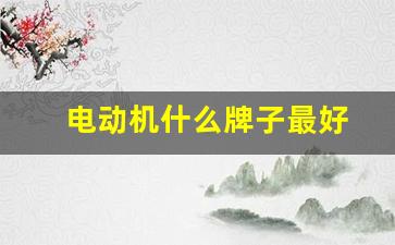 电动机什么牌子最好(国产电动机十大品牌)_https://www.jumanxin.com_深交所_第1张