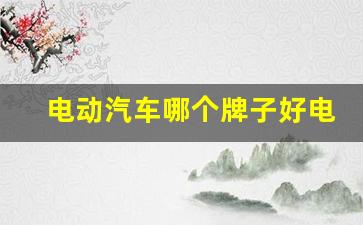 电动汽车哪个牌子好电瓶耐用(电动汽车哪家电池耐用)_https://www.huakunhengjia.com_股票资讯_第1张