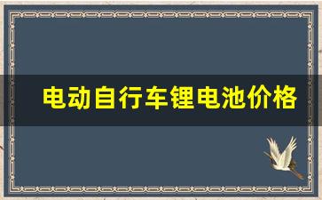 电动自行车锂电池价格一览表(电动自行车车锂电池价格)_https://www.taocizhiliang.com_装修流程_第1张