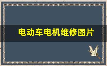 电动车电机维修图片(电动车电机维修图片大全)_https://www.taocizhiliang.com_效果图_第1张