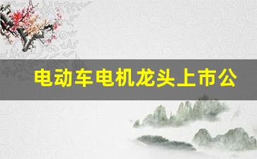 电动车电机龙头上市公司(汽车电机上市公司龙头)_https://www.wanyuyiyao.com_深交所_第1张