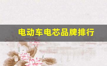 电动车电芯品牌排行(电动车电芯品牌排行榜)_https://www.qldgs.com_内盘期货_第1张