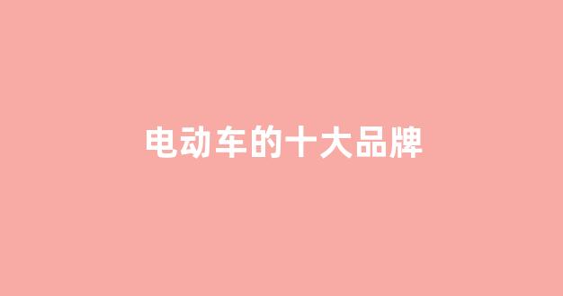 电动车的十大品牌(电动车的十大品牌排行榜2022)_https://www.wanyuyiyao.com_北交所_第1张