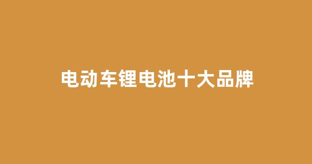 电动车锂电池十大品牌(电动车锂电池十大品牌排行榜前十名)_https://www.jnskb.com_效果图_第1张