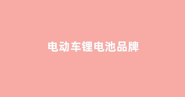 电动车锂电池品牌(电动车锂电池品牌大全)_https://www.eamstsz.com_北交所_第1张