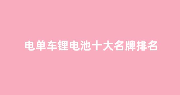 电单车锂电池十大名牌排名(电动车锂电池排名前十的有什么牌子)_https://www.hangfeite.com_创业板_第1张