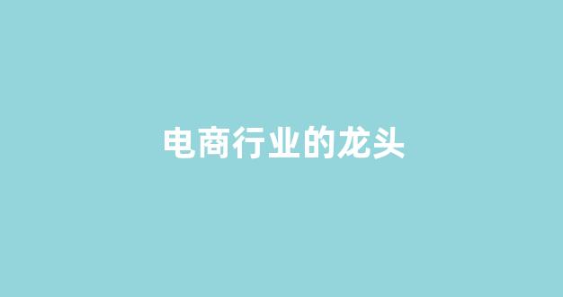 电商行业的龙头(电商行业的龙头是什么)_https://www.jnskb.com_装修流程_第1张