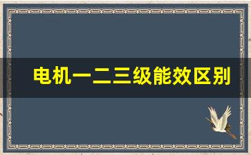 电机一二三级能效区别(电机的能效等级如何划分)_https://www.lclxwz.com_郑商所_第1张