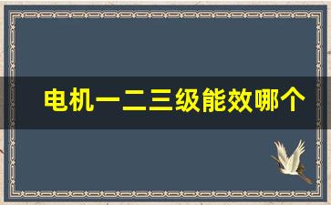 电机一二三级能效哪个好(电机能效等级二级好还是三级好)_https://www.eamstsz.com_北交所_第1张