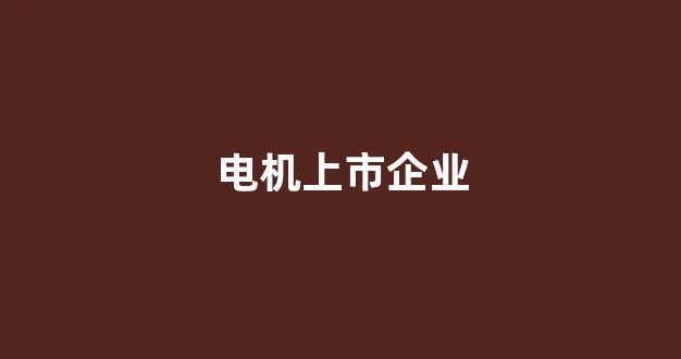 电机上市企业(电机上市公司)_https://www.jnskb.com_设计报价_第1张