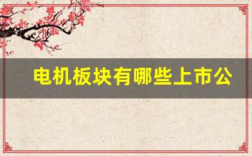 电机板块有哪些上市公司名称(电机板块有哪些上市公司名称和名称)_https://www.hhem8.com_深交所_第1张