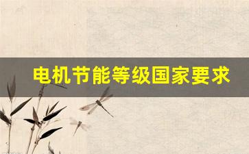 电机节能等级国家要求(节能电机国家标准型号)_https://www.wanyuyiyao.com_北交所_第1张
