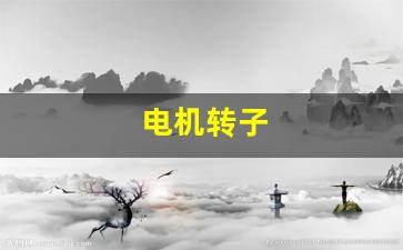 电机转子(电机转子轴磨损怎么样修复)_https://www.wanyuyiyao.com_科创板_第1张