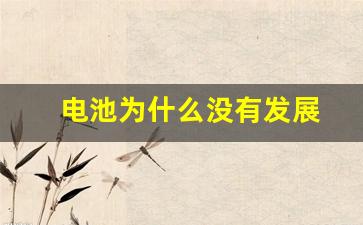 电池为什么没有发展(为什么电池技术没有进步)_https://www.luoxuangg888.com_北交所_第1张