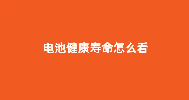 电池健康寿命怎么看(如何看电池健康值)_https://www.hangfeite.com_北交所_第1张