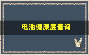 电池健康度查询(电池健康度查询软件)_https://www.taocizhiliang.com_装修公司_第1张