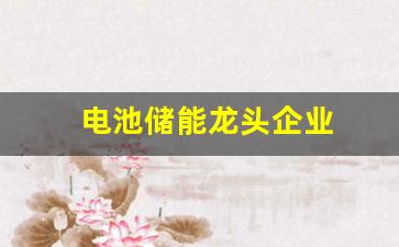 电池储能龙头企业(十大储能公司)_https://www.lclxwz.com_广期所_第1张