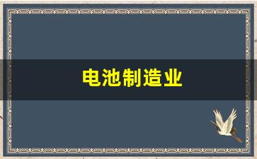 电池制造业(电池制造业中)_https://www.eamstsz.com_上交所_第1张