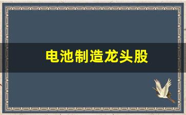电池制造龙头股(电池制造龙头股票)_https://www.hhem8.com_深交所_第1张