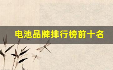电池品牌排行榜前十名(手机电池品牌排行榜前十名)_https://www.jnskb.com_设计报价_第1张