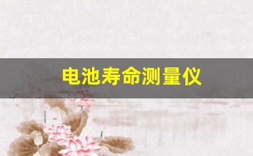 电池寿命测量仪(电池寿命测量仪品牌)_https://www.nalian8.com_创业板_第1张