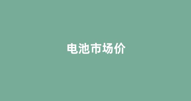 电池市场价(电池市场价格上涨的原因)_https://www.hangfeite.com_深交所_第1张