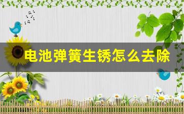 电池弹簧生锈怎么去除(电池弹簧生锈怎么去除小妙招)_https://www.hangfeite.com_创业板_第1张