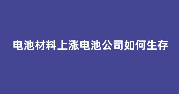 电池材料上涨电池公司如何生存(电池原材料的股票)_https://www.shshucaipeisong.com_创业板_第1张
