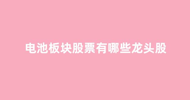 电池板块股票有哪些龙头股(电池板块龙头股一览表)_https://www.eamstsz.com_深交所_第1张