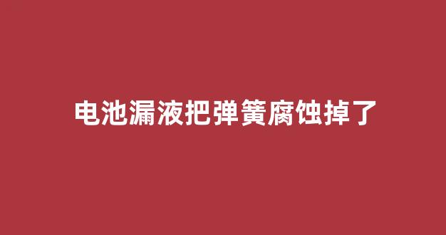 电池漏液把弹簧腐蚀掉了(电池漏液把弹簧腐蚀掉了酒精)_https://www.hangfeite.com_北交所_第1张
