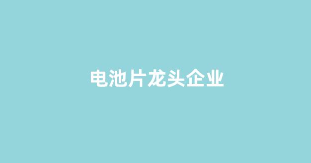 电池片龙头企业(电池片上市公司龙头股)_https://www.taocizhiliang.com_装修公司_第1张