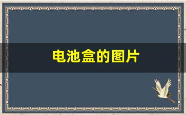电池盒的图片(电池盒图片手工制作)_https://www.wguangz.com_大商所_第1张