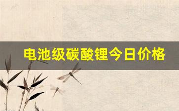 电池级碳酸锂今日价格报价(电池级碳酸锂今日价格)_https://www.taocizhiliang.com_装修流程_第1张