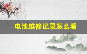 电池维修记录怎么看(电池维修记录怎么看出来)_https://www.huakunhengjia.com_股票资讯_第1张