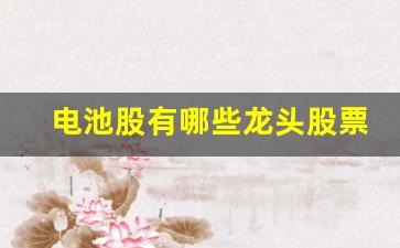电池股有哪些龙头股票(电池股有哪些龙头股票)_https://www.nalian8.com_上交所_第1张
