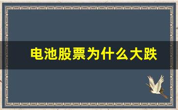 电池股票为什么大跌(电池股票龙头有哪些)_https://www.taocizhiliang.com_装修流程_第1张