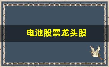 电池股票龙头股(电池片龙头股)_https://www.dcjwmf.com_大商所_第1张